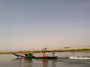 inle.recolectoras