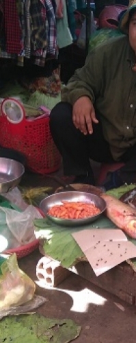 Mercado Battambang_Pescadera y atrapamoscas (papel con olor a comida y pegamento)